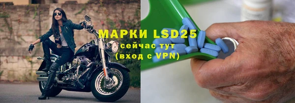 хмурый Бородино