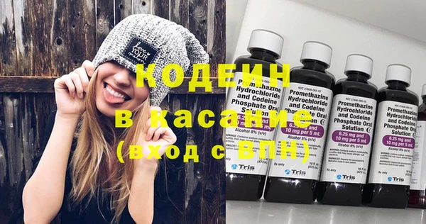 хмурый Бородино