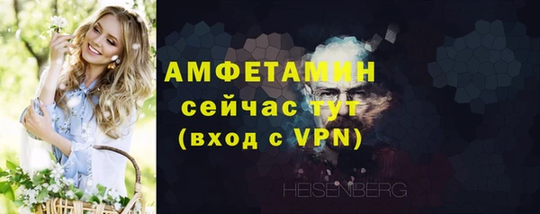 хмурый Бородино