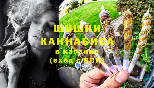 хмурый Бородино