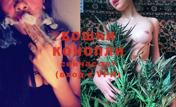 хмурый Бородино