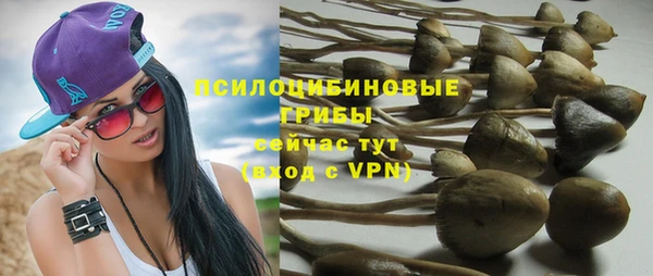 хмурый Бородино