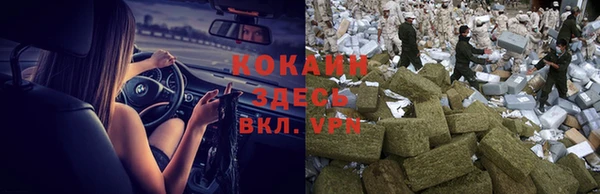 хмурый Бородино