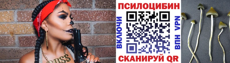 Псилоцибиновые грибы мухоморы где купить наркоту kraken как зайти Гремячинск